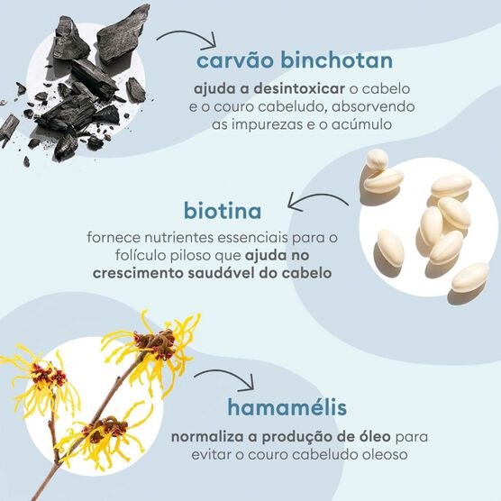 CHARCOAL+BIOTIN DRY SHMP